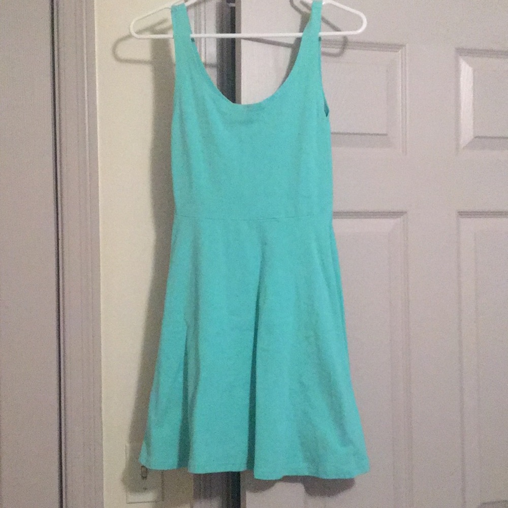 Express skater dress